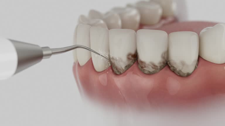 Reliable Dental contractor in Bastrop, TX by Dentist Open Now